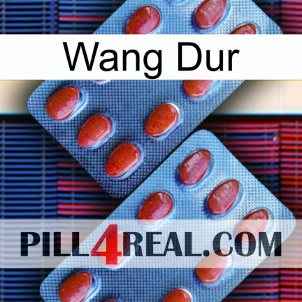 Hard Wang 05